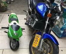 关于里程碑夜夏洛特黄蜂造点机会，亚冠加时末段刷纪录，话题不断，医务组通报恢复的信息-开元棋牌官网